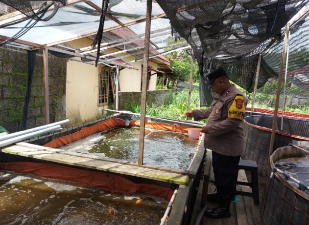 Dukung Program Ketahanan Pangan, Bhabinkamtibmas Tanjung Laut Dampingi Kelompok Tani Wilayah Binaannya untuk Budidaya Ikan Nila Skala Rumah WhatsApp Image 2025 04 24 at 12.21.10