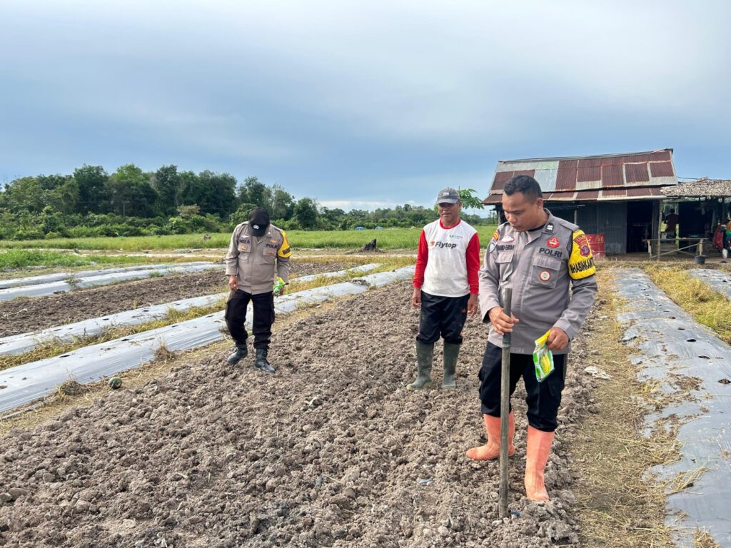 Dukung Program Swasembada Pangan, Polsek Anggana Dampingi Kelompok Tani di Desa Handil Terusan 1 2