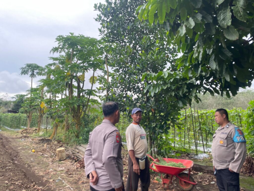 Komitmen Dukung Program Swasembada Pangan, Polsek Barong Tongkok Kunjungi Kelompok Petani Sekaligus Monitoring Lahan Pertanian WhatsApp Image 2025 05 06 at 10.44.41