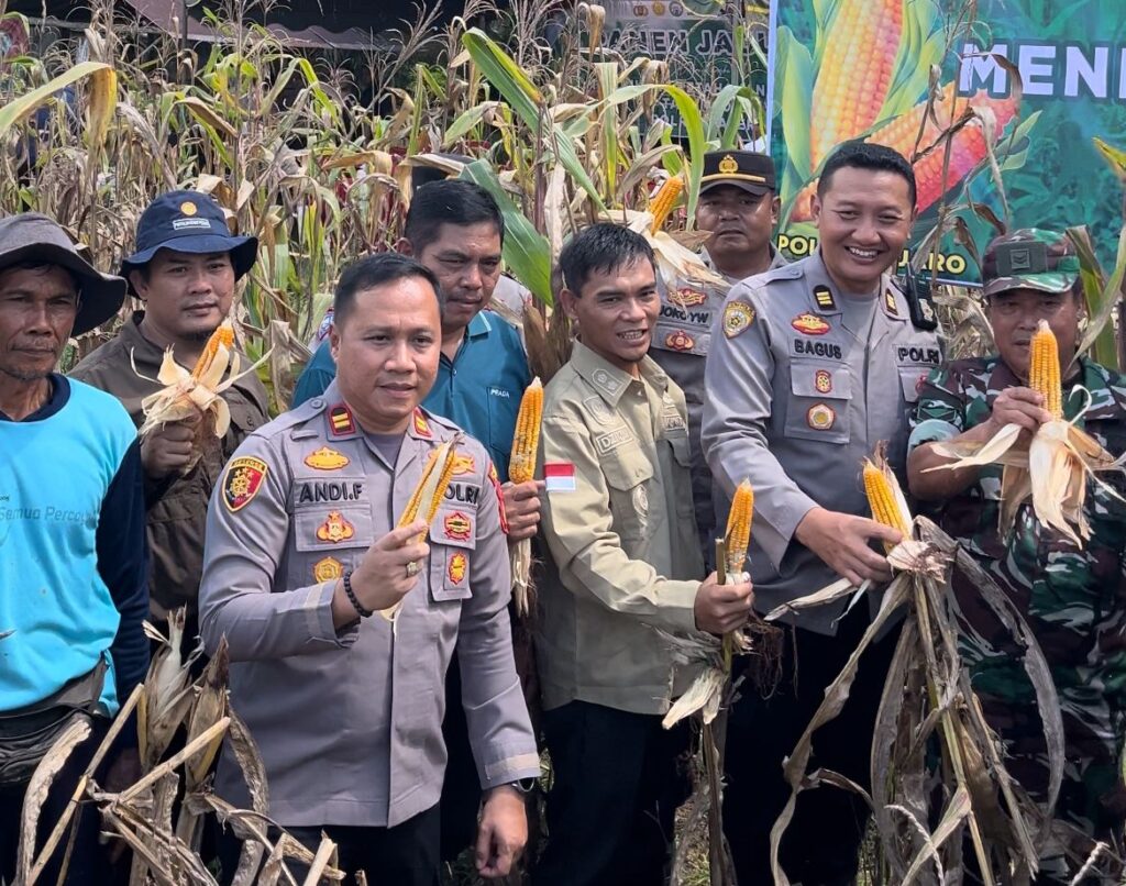 Kapolres Paser Bersama Warga Desa Padang Jaya Panen Jagung, Wujudkan Dukungan Terhadap Ketahanan Pangan Nasional WhatsApp Image 2025 05 07 at 19.47.06 6c40fbfd