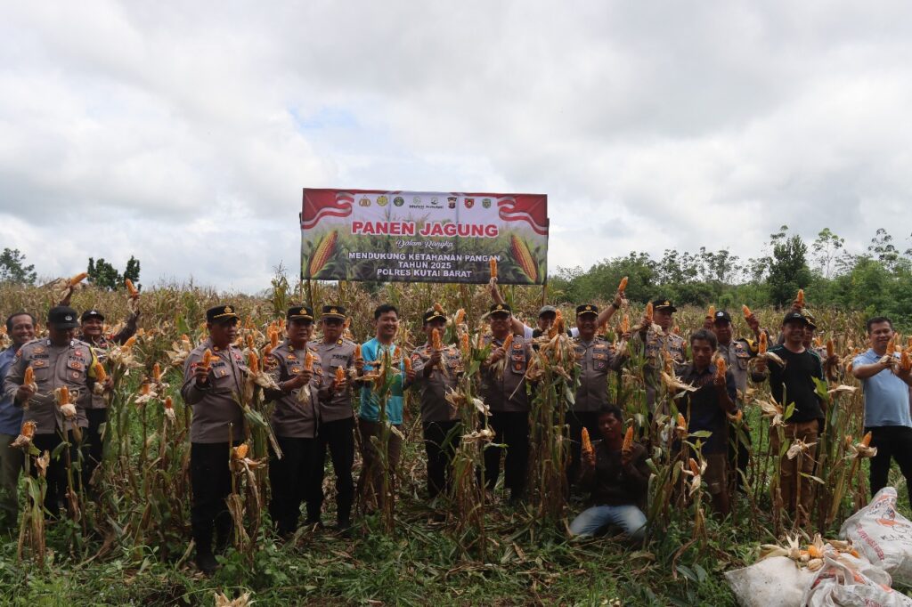 Dukung Ketahanan Pangan Nasional, Polres Kutai Barat Bersama CV Layung Farm Panen Jagung WhatsApp Image 2025 05 10 at 17.38.01 dac31f40