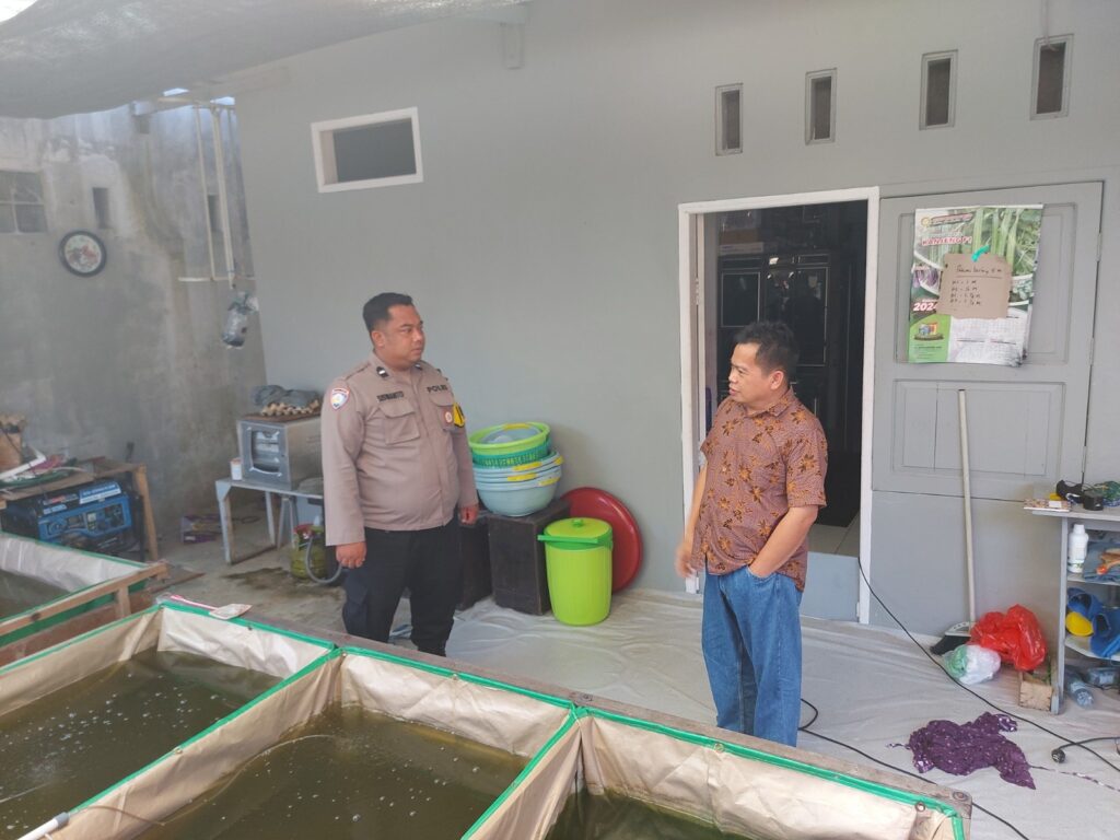 Dukung Program Ketahanan Pangan, Bhabinkamtibmas Tanjung Laut Bantu Warga Tingkatkan Usaha Ikan Nila di Lahan Perkarangan WhatsApp Image 2025 05 18 at 11.29.12