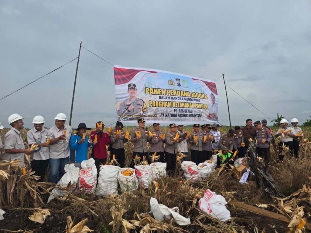 Dukung Program Ketahanan Pangan Nasional, Polres Berau Dampingi Panen Perdana Jagung di Kec.Segah WhatsApp Image 2025 05 18 at 11.38.38
