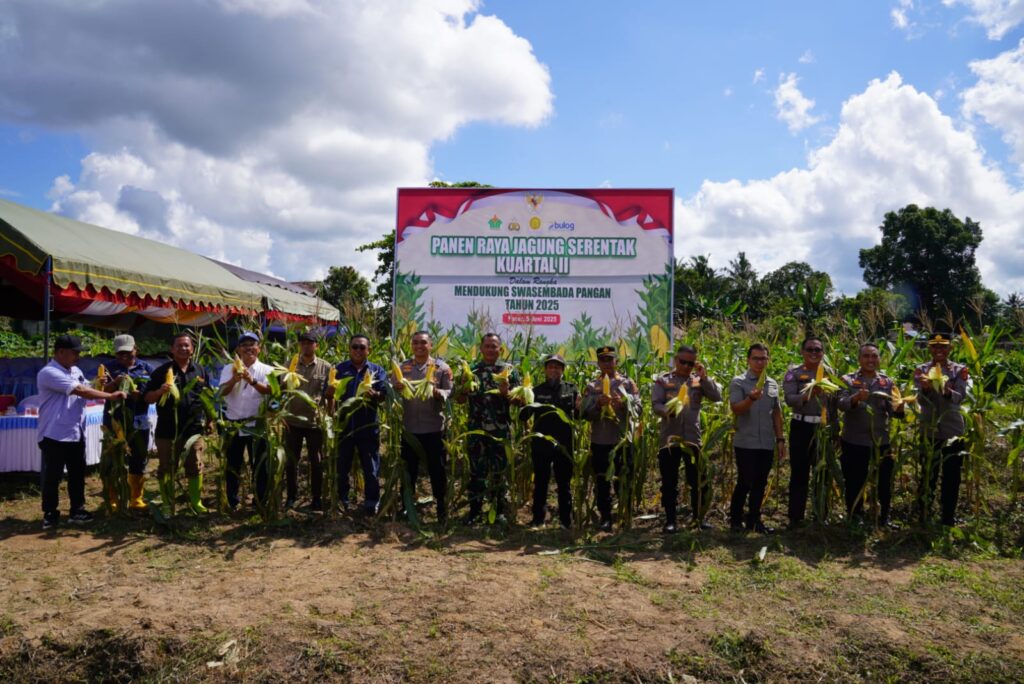 Dukung Swasembada Pangan, Polres Paser Gelar Panen Jagung Serentak WhatsApp Image 2025 06 06 at 12.01.51