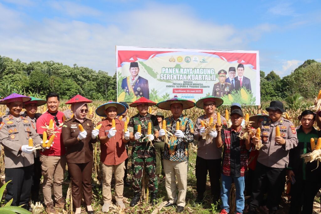 Dukung Swasembada Pangan 2025, Polres Kubar Sukses Gelar Panen Jagung Kuartal II WhatsApp Image 2025 06 06 at 12.27.19