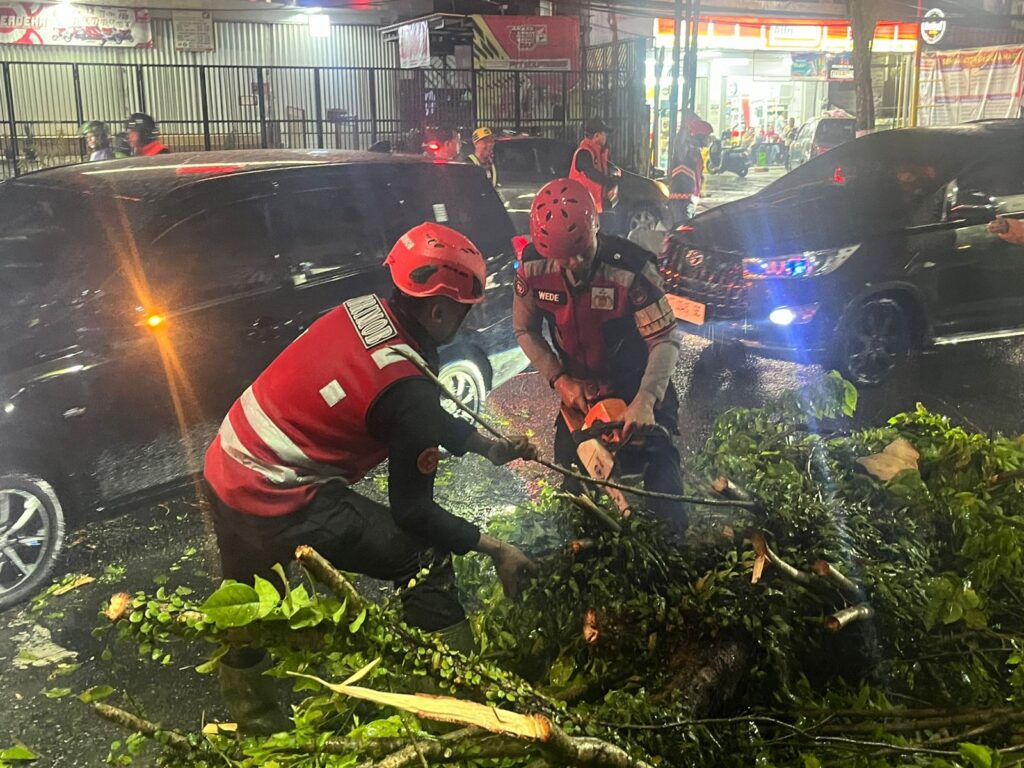 Brimob Polda Kaltim Sigap Evakuasi Pohon Tumbang di Jalan MT. Haryono Balikpapan BRIMOB