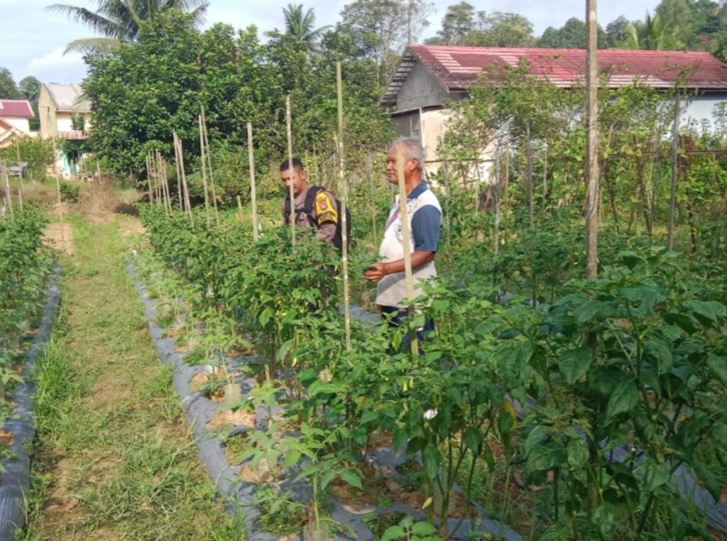 Dukung Program Ketahanan Pangan, Bhabinkamtibmas Polsek Loa Janan Dorong Masyarakat untuk Kembangkan Pertanian Pekarangan WhatsApp Image 2025 08 09 at 11.54.50