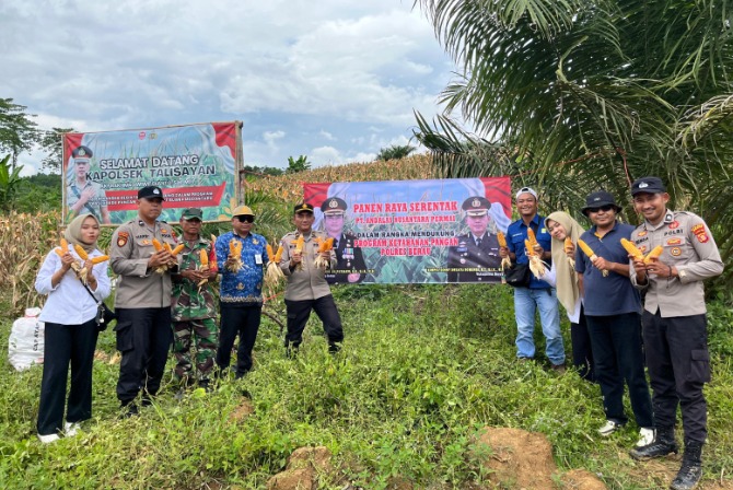 Dukung Program Swasembada Pangan Nasional, Polsek Talisayan Bersama PT. Andalas Nusantara Permai Lakukan Panen Raya Jagung WhatsApp Image 2025 09 19 at 11.21.14