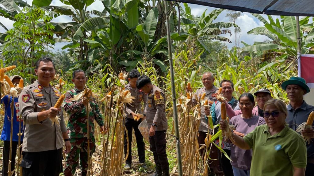 Wujud Dukungan Program Kemandirian Pangan, Polsek Damai Ikuti Panen Raya Jagung Kuartal III di Kampung Jontai WhatsApp Image 2025 09 27 at 13.39.10