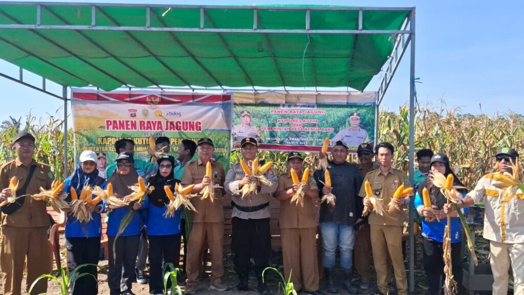 Hasilkan 1 Ton Jagung Hibrida dari Lahan Masyarakat, Polsek Muara Bengkal Gelar Panen Raya Guna Dukung Kemandirian Pangan WhatsApp Image 2025 09 30 at 11.18.40