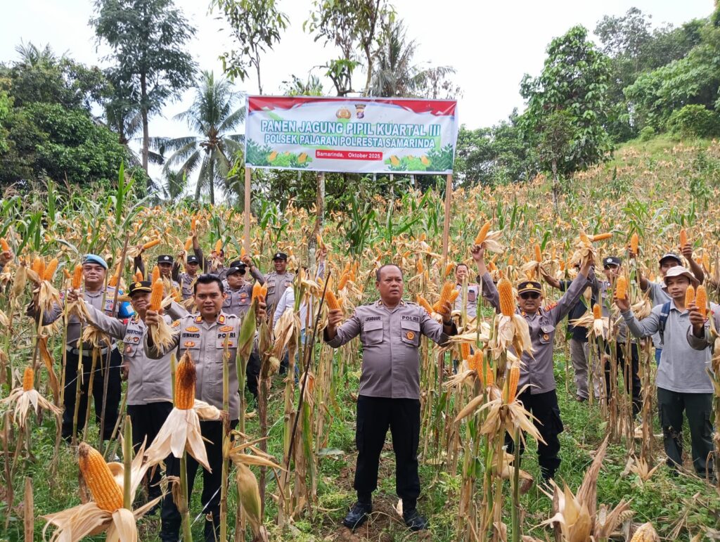 Wujud Dukungan Terhadap Ketahanan Pangan, Polsek Palaran Bersama Kelompok Tani Gelar Panen Jagung Pipil Kuartal III WhatsApp Image 2025 10 05 at 11.44.03
