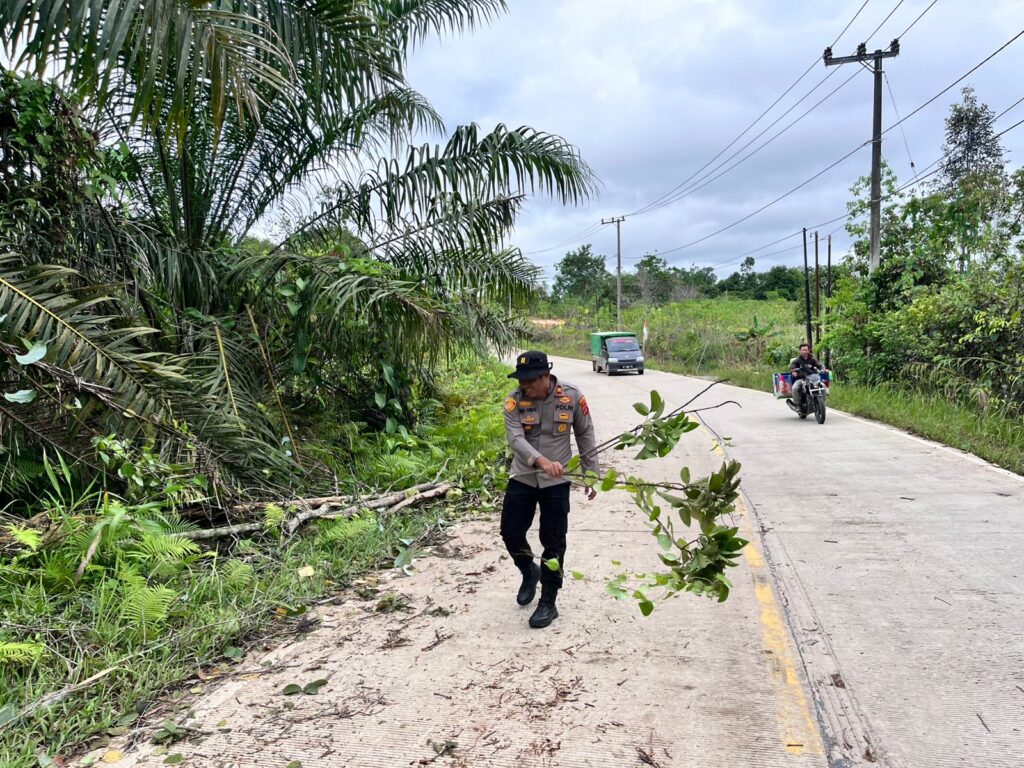 Polsek Jempang Sigap Evakuasi Pohon Tumbang Akibat Hujan Deras dan Angin Kencang WhatsApp Image 2025 10 27 at 10.21.59 11de6ecc