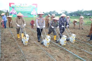 Dukung Ketahanan Pangan Nasional, Polres Kutim bersama PT.KPC Ubah Lahan Bekas Tambang Jadi Sentra Lahan Jagung WhatsApp Image 2025 11 05 at 09.59.29 300x200 1