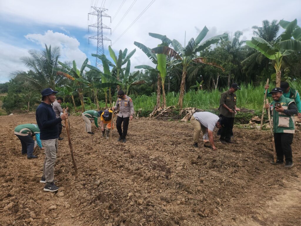 Wujudkan Ketahanan Pangan Melalui Penanaman Jagung, Polsek Long Ikis Bersinergi dengan Gapoktan Desa Kayungo WhatsApp Image 2026 01 16 at 10.13.05 1
