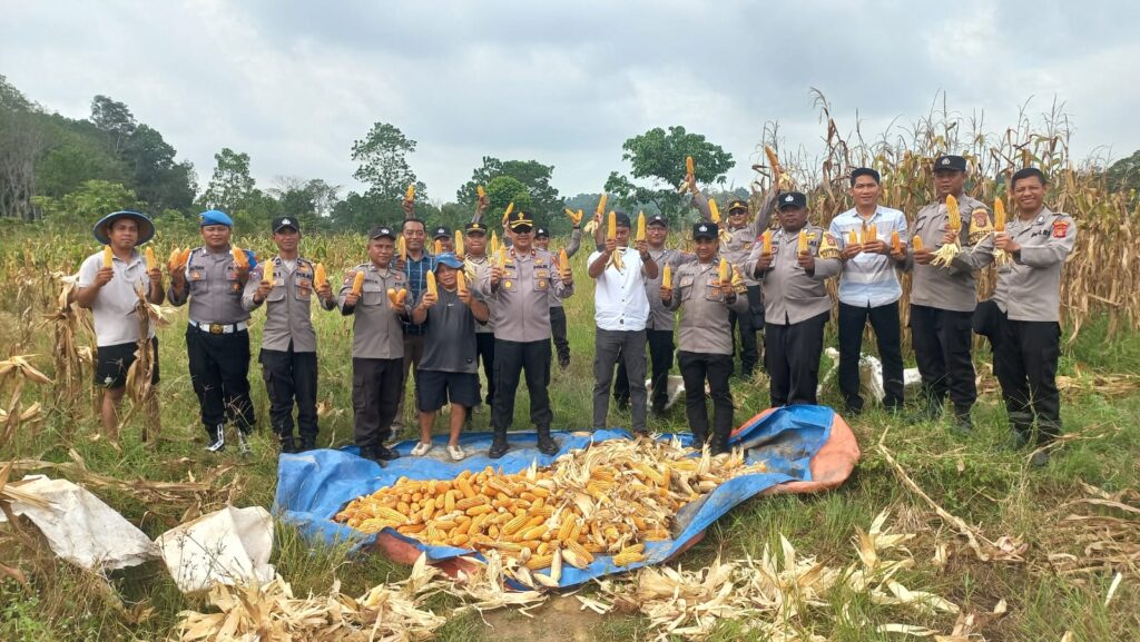 Dukung Program Swasembada Pangan, Polsek Palaran Bersinergi dengan Petani Wonomulyo Gelar Panen Raya Jagung WhatsApp Image 2026 01 22 at 11.26.45