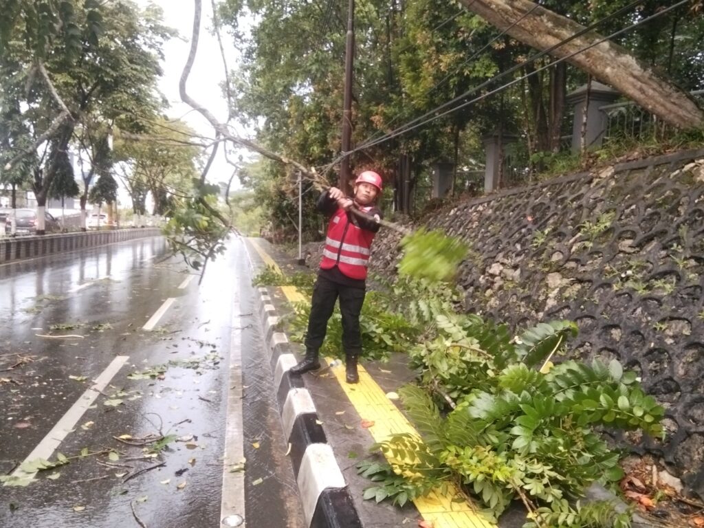 Tim SAR Brimob Polda Kaltim Sigap Evakuasi Ranting Pohon Tumbang di Balikpapan Selatan WhatsApp Image 2026 02 06 at 09.15.09
