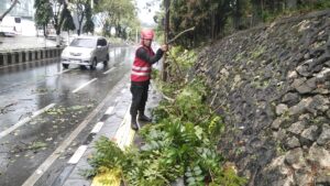 Tim SAR Brimob Polda Kaltim Sigap Evakuasi Ranting Pohon Tumbang di Balikpapan Selatan 1 WhatsApp Image 2026 02 06 at 09.15.10