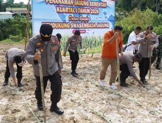 Sinergi Dukung Swasembada Pangan, Polres Paser Gelar Penanaman Jagung Serentak WhatsApp Image 2026 03 08 at 14.26.27