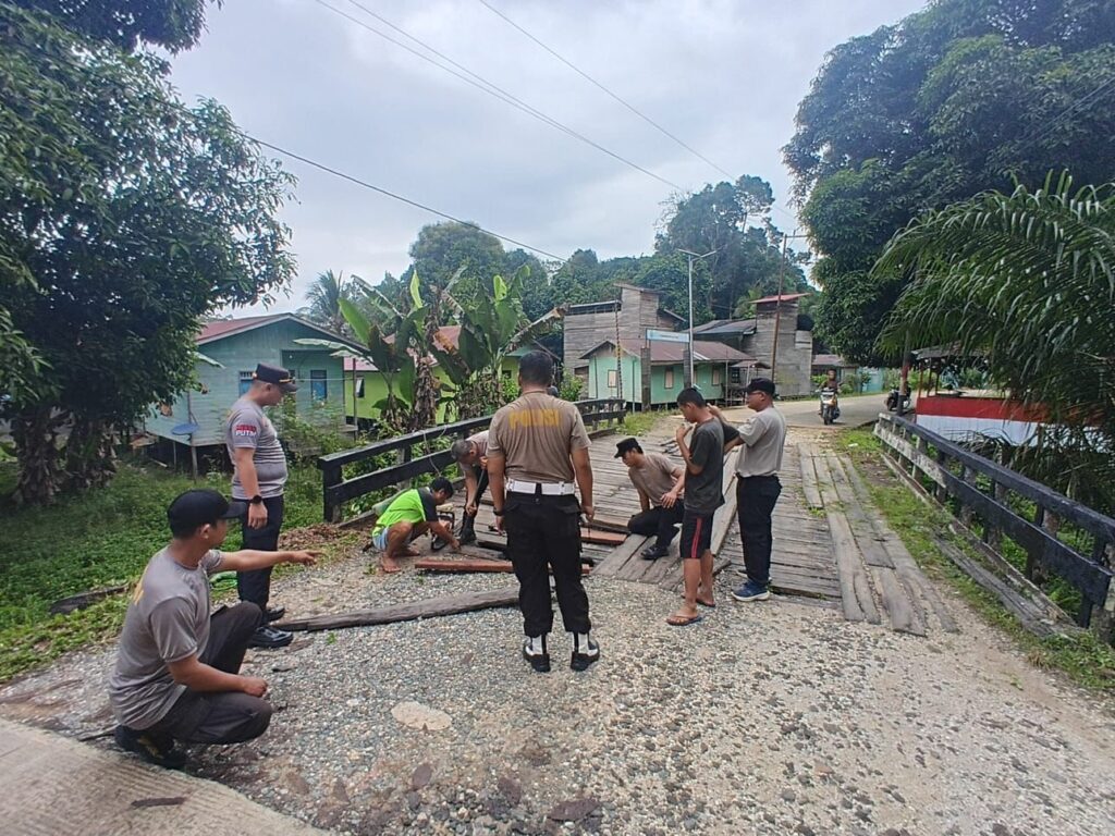 kubar 3