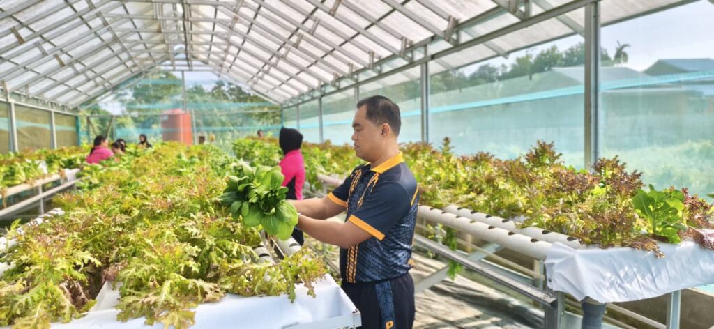 Bhayangkari Loa Kulu Sukses Panen Sayur Hidroponik, Dorong Ketahanan Pangan Rumah Tangga kukar 6