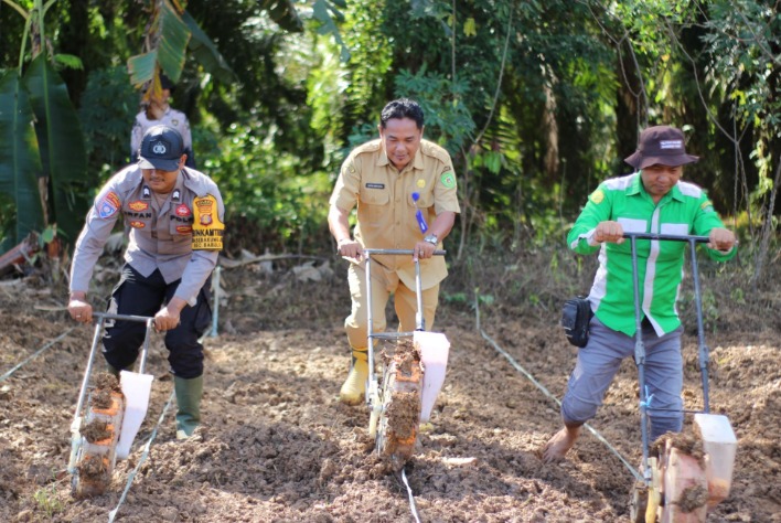 Dukung Program Ketahanan Pangan, Polsek Babulu Dampingi Penanaman Jagung Pipil di Desa Sebakung Jaya image 6 1