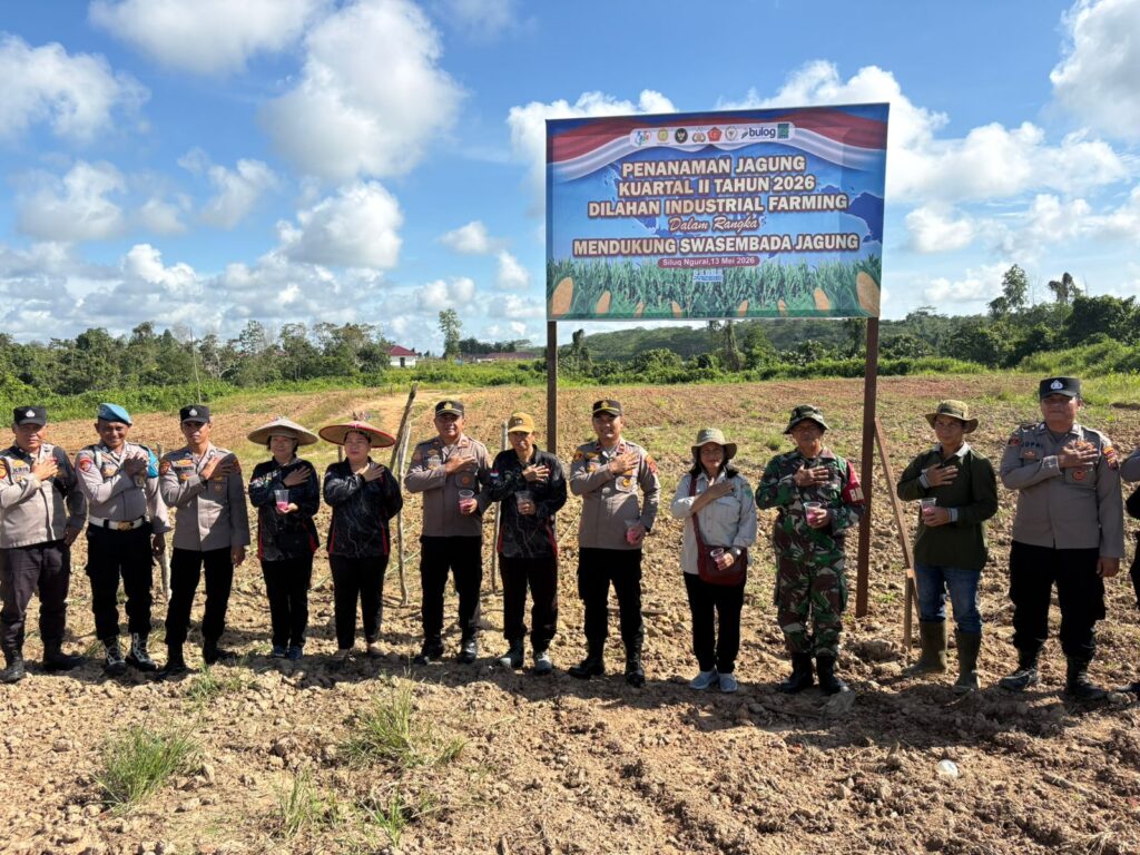 Polsek Siluq Ngurai Dukung Ketahanan Pangan Lewat Penanaman Jagung Bersama kubar 3