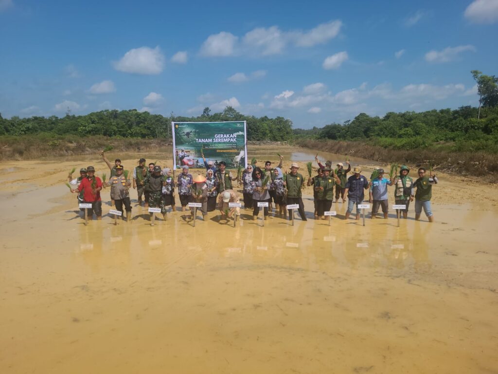 berau 4