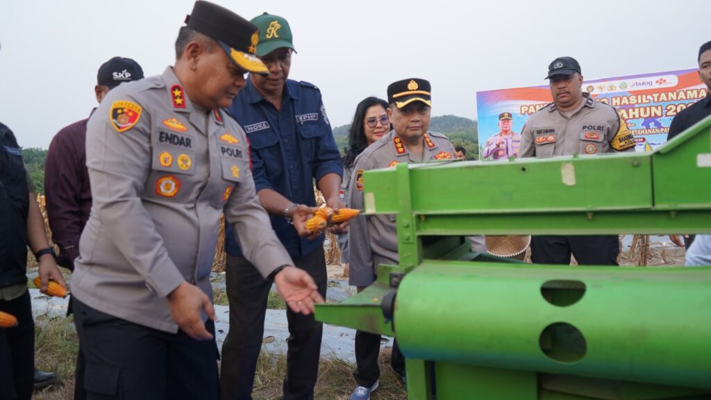 Polda Kaltim Gelar Panen Jagung Kuartal II, Tegaskan Komitmen Polri Perkuat Ketahanan Pangan 2 WhatsApp Image 2026 08 29 at 20.11.01