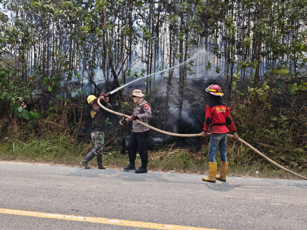 Tim Gabungan Bergerak Cepat Padamkan Karhutla di Labanan Makmur Berau berau 1