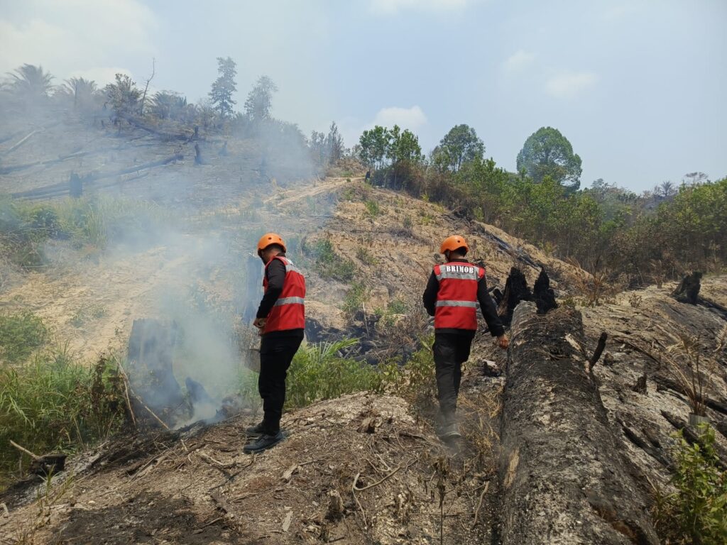 Gerak Cepat Tim Respon Bencana Brimob Polda Kaltim Kendalikan Karhutla di Berau berau 6
