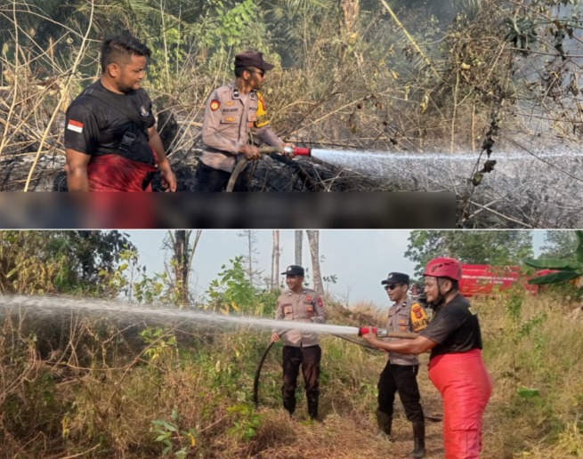 Gerak Cepat, Polsek Talisayan Bersama Damkar Padamkan Karhutla di Biatan Bapinang image 16 1