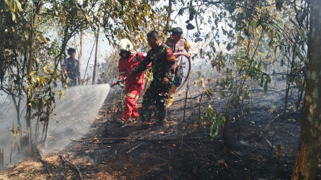 Puluhan Hektare Lahan Terbakar di Kukar, TNI-Polri dan Relawan Bergerak Padamkan Api kukar 5