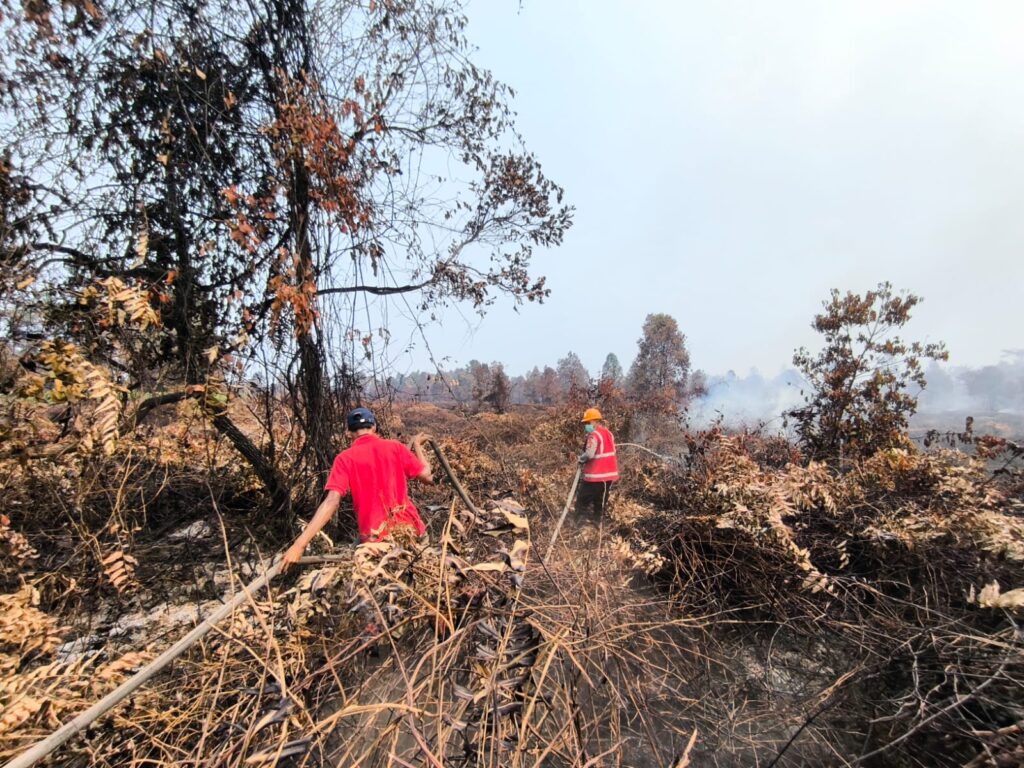 Satgas Karhutla Brimob Kaltim Bergerak Cepat, 2,5 Hektare Lahan Gambut di Kukar Berhasil Dipadamkan WhatsApp Image 2026 09 03 at 09.11.01