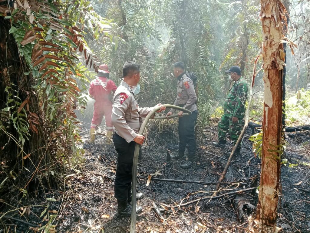 Satgas Ops Amanusa Bersama Tim Gabungan Padamkan Karhutla di Sangkuriman WhatsApp Image 2026 09 04 at 09.54.35
