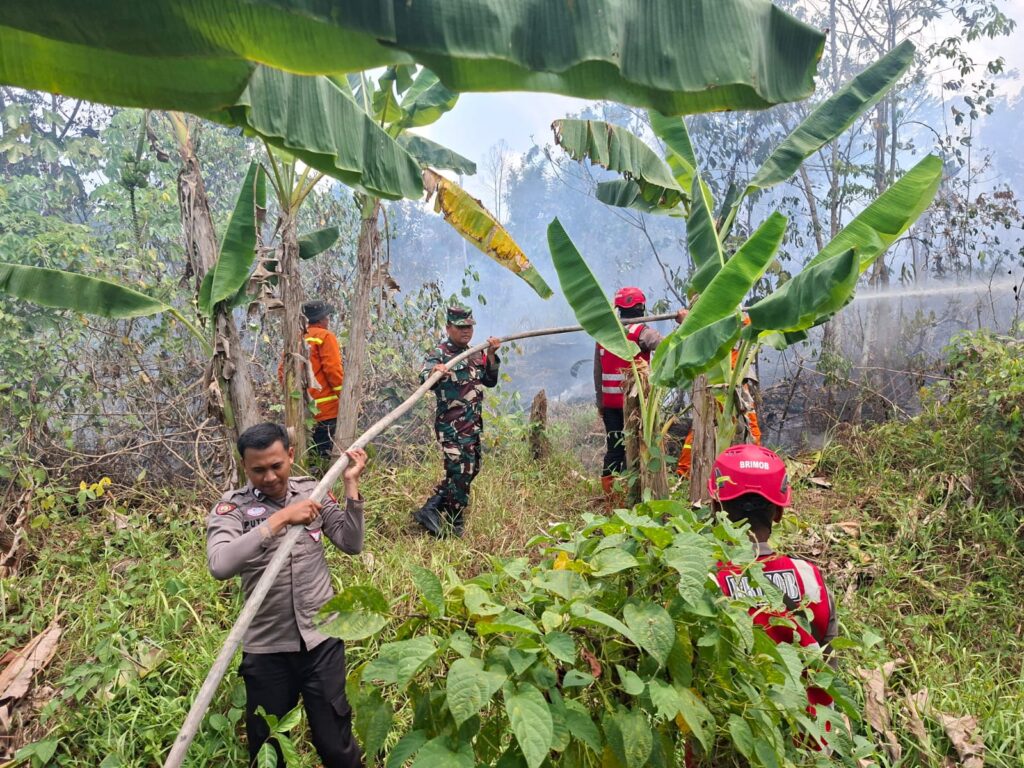 Titik Api Kembali Terpantau di KM 47, Tim Gabungan Kerahkan Water Bombing untuk Jinakkan Karhutla WhatsApp Image 2026 09 06 at 11.31.00