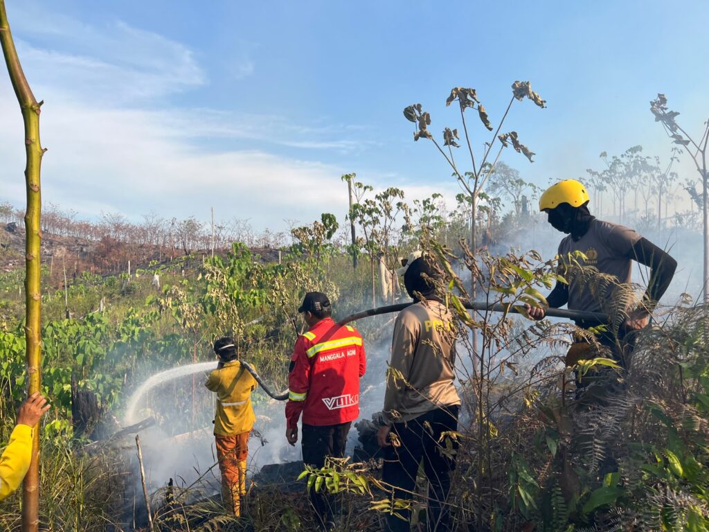 Patroli Siaga Karhutla Gunung Tabur Temukan Dua Hotspot, Tim Gabungan Langsung Lakukan Penanganan WhatsApp Image 2026 09 15 at 09.48.25