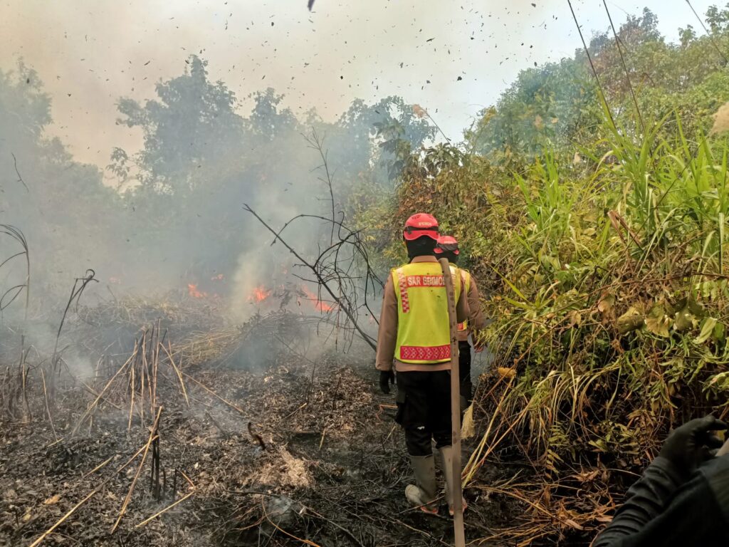 Brimob Kaltim Gerak Cepat Tangani Karhutla di Lahan Gambut Desa Pepara WhatsApp Image 2026 09 24 at 13.01.06