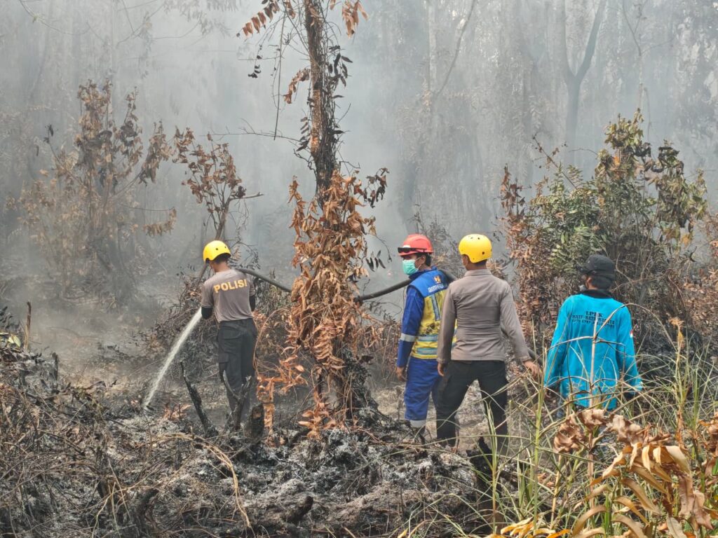 Perkuat Kesiapsiagaan, Tim Gabungan Patroli Karhutla di Gunung Tabur berau 1