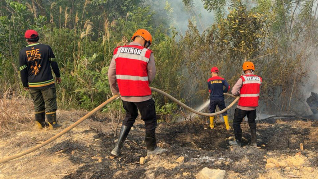 Satgas Karhutla Brimob Kaltim Berjibaku Padamkan Kebakaran Lahan di Berau brimob