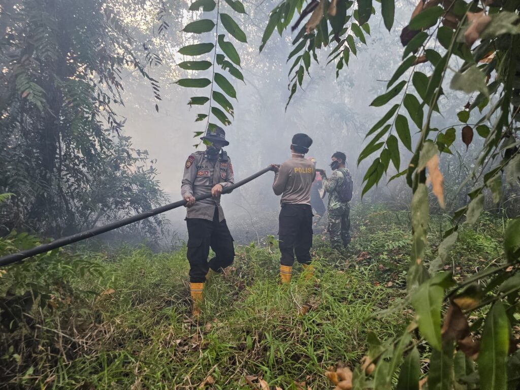 Karhutla Sanipah Kembali Terpantau, Petugas Berjibaku Padamkan Api di Lahan Gambut kukar 1