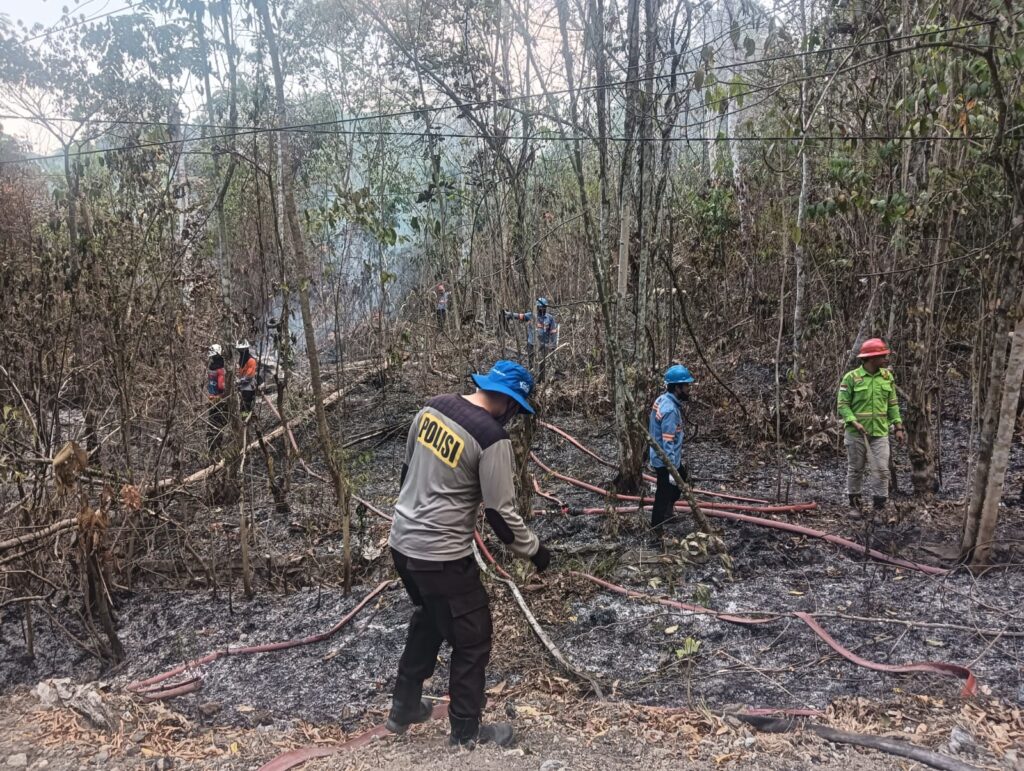 Karhutla di Samboja Barat Meluas, Petugas Gabungan Berhasil Padamkan Api kukar 7