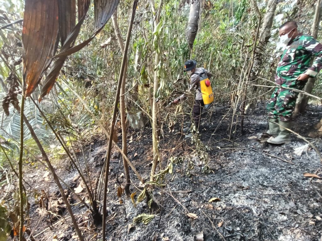 Sinergi TNI-Polri dan Warga Berhasil Kendalikan Karhutla di Muara Komam paser 1