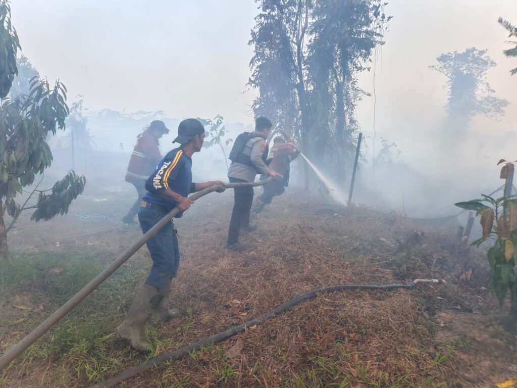 Polsek Palaran Bersama Tim Gabungan Bergerak Cepat Padamkan Karhutla di Lahan Gambut smd 1