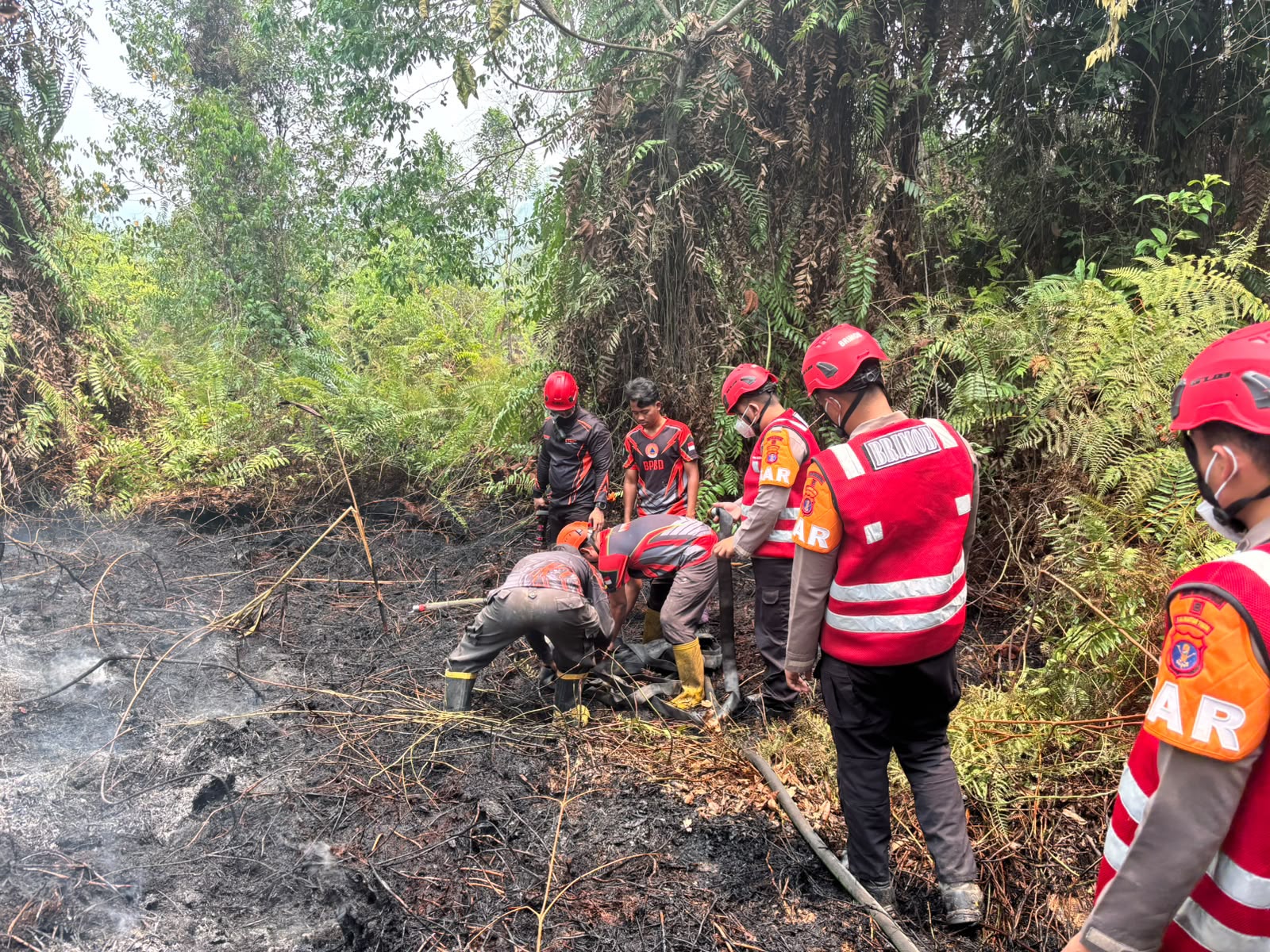 Brimob Kaltim Siaga Hadapi Karhutla, Respons Cepat dan Sinergi Jadi Kunci Penanganan 1 WhatsApp Image 2026 10 08 at 08.37.00