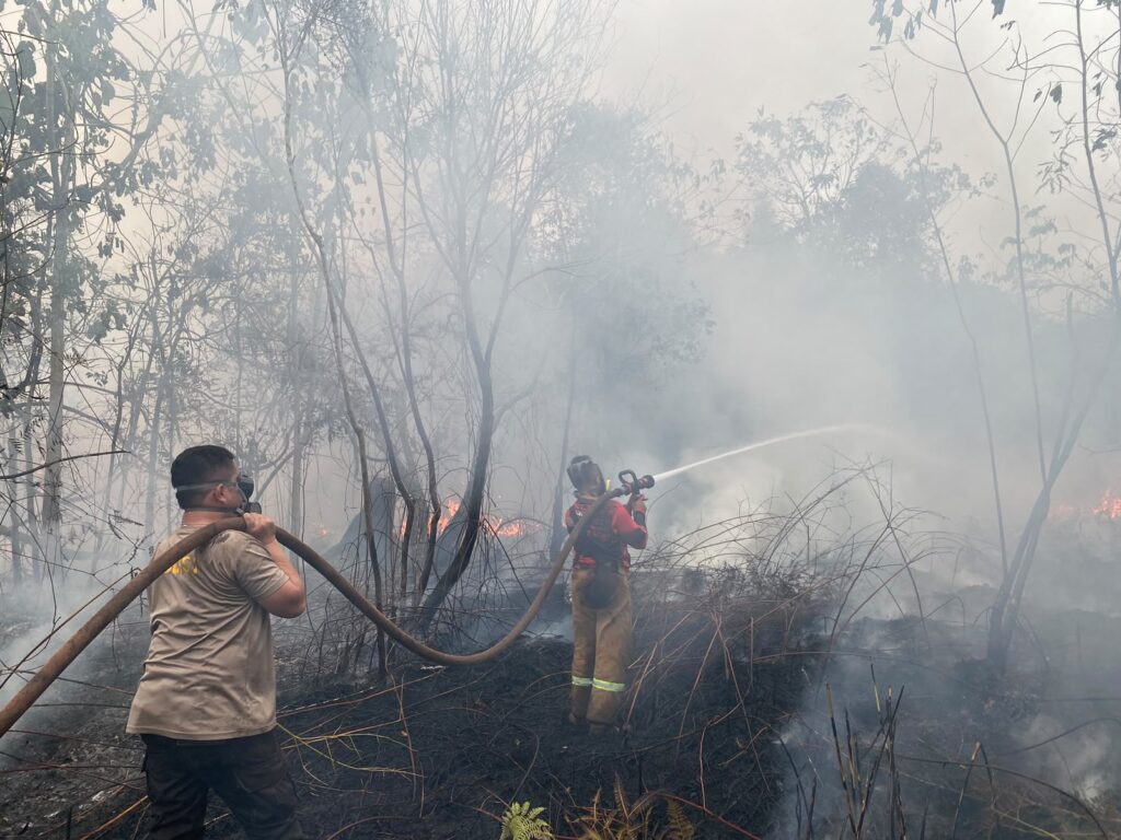 Gerak Cepat Polsek Damai dan Tim Gabungan Atasi Karhutla Seluas 2 Hektare di Kutai Barat kubar 1