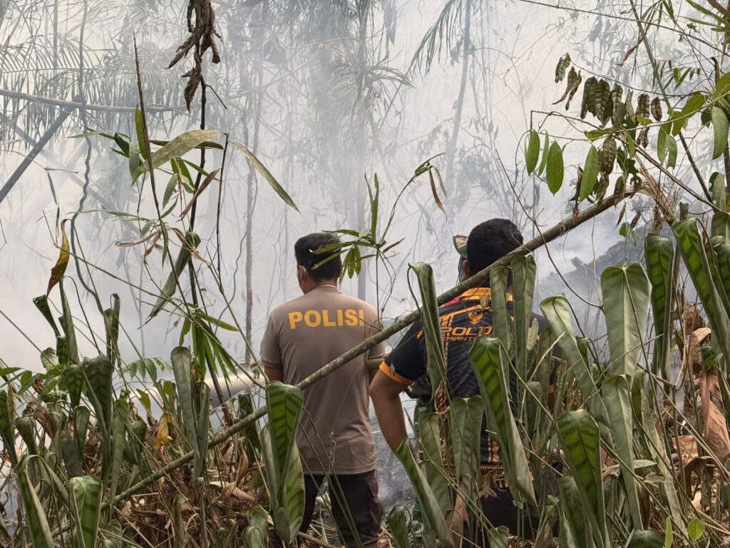 Polsek Bentian Besar Bersama Tim Gabungan Padamkan Karhutla Seluas 7 Hektare di Kutai Barat kubar 4
