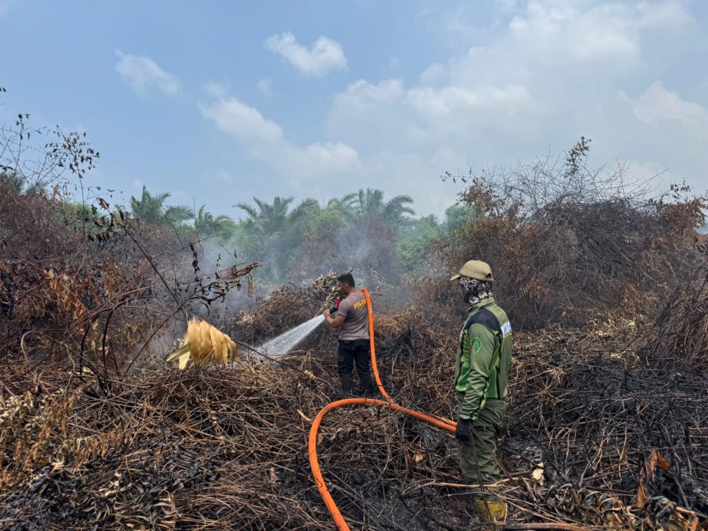 Tim Gabungan Tanggulangi Karhutla di Desa Giripurwa Penajam, Api Berhasil Dipadamkan penajam